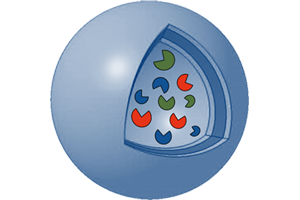 Blaue Kugel mit Einschnitt auf der rechten Seite und grafischer Darstellung von roten, grünen und blauen Enzymen darin.