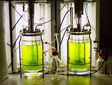 Bioreaktor, zwei Gläser mit grünlicher Flüssigkeit gefüllt, mit Schläuchen und Kabeln versehen.