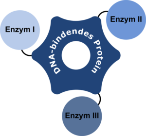 Projektschema Arabella Essert