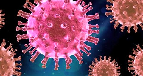 Zum Artikel "Kontakt in Zeiten der Corona-Virus-Pandemie"