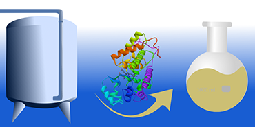 Biokatalyse Pictogramm