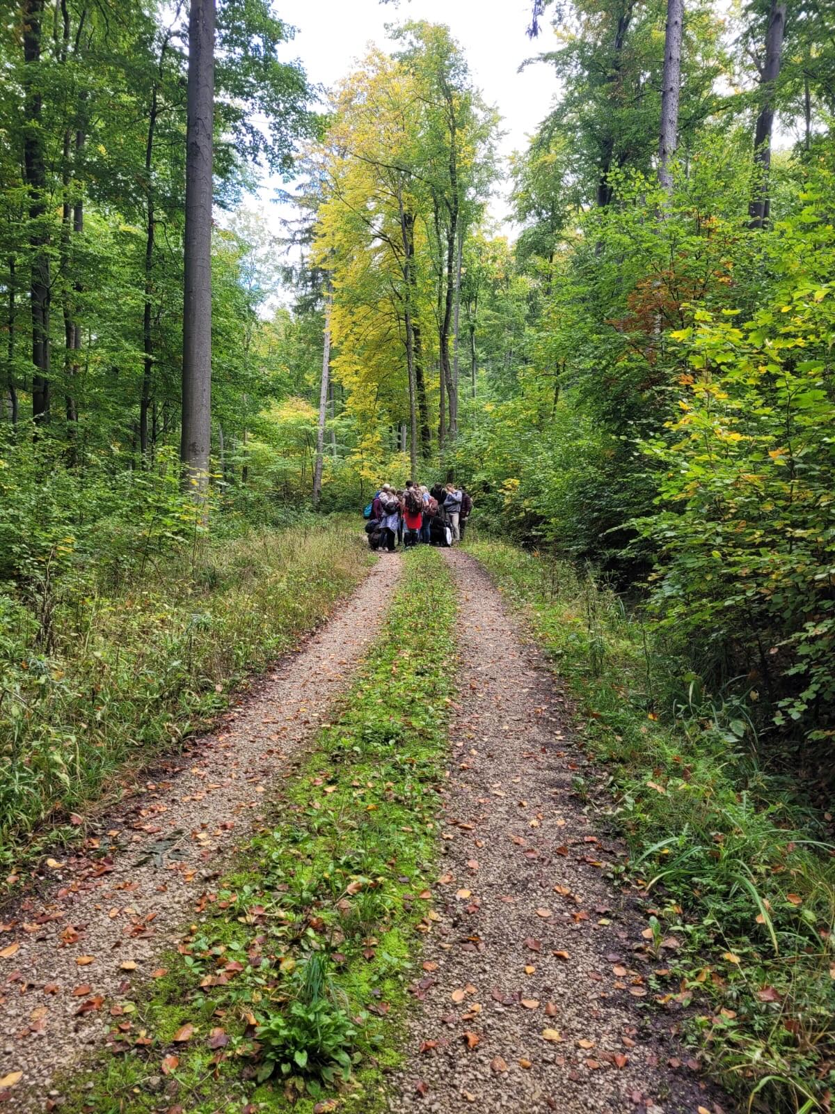 Personengruppe auf einem Waldweg