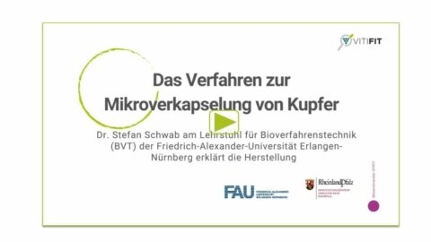 Beitragsbild zu "Das Verfahren zur Mikroverkapselung von Kupfer"