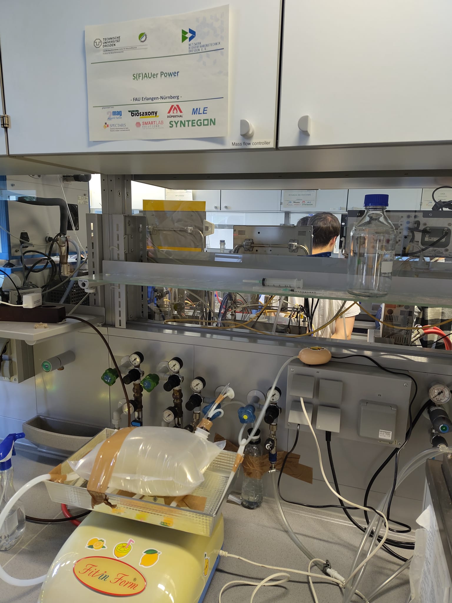 Wave bioreactor for citric acid production