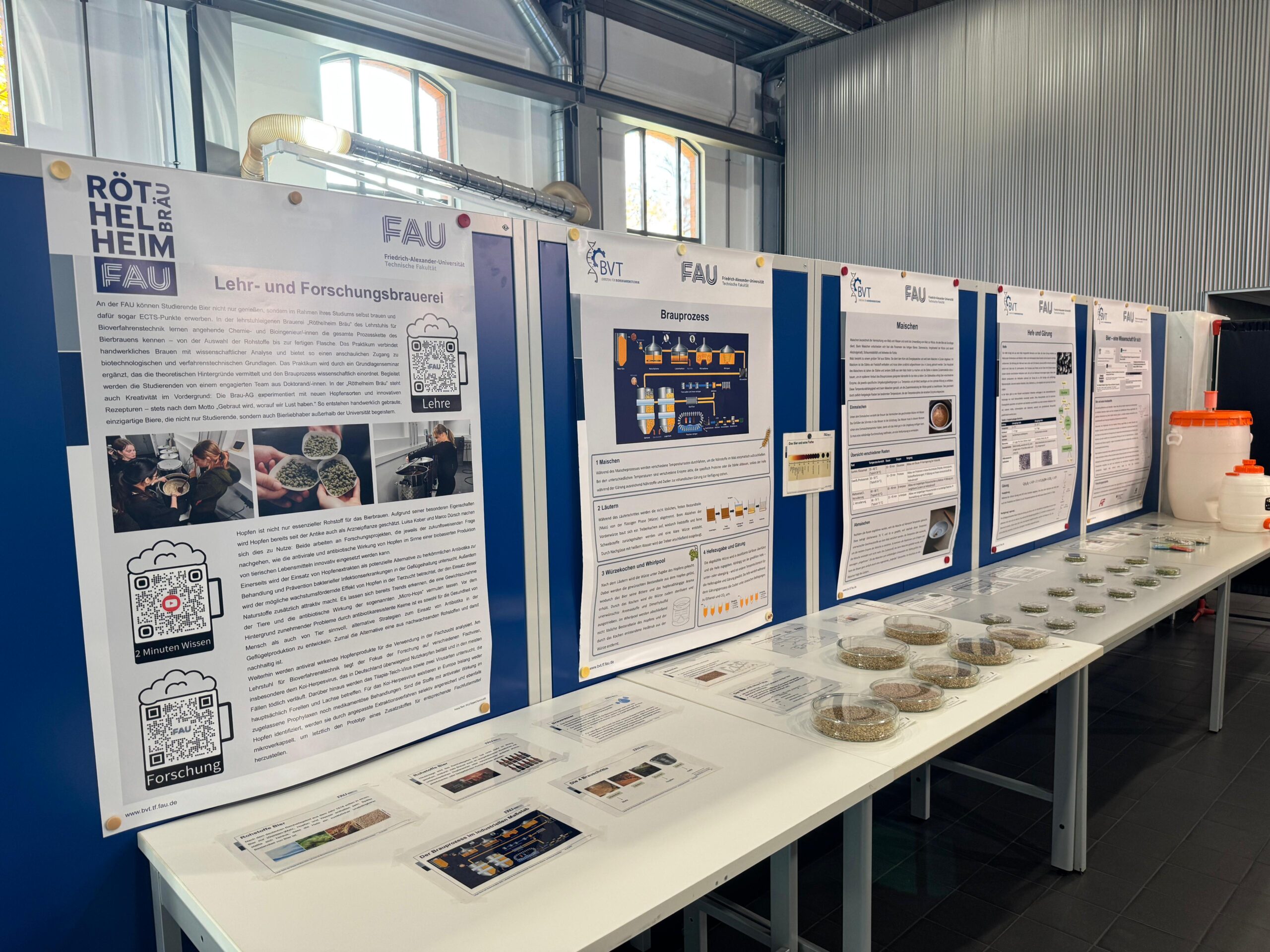 Ein Bild mit der vorbereiteten Austellung: Postern, verschiedenen Hopfen- und Malzsorten