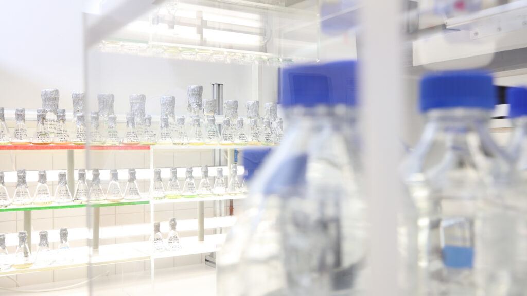 Symbolbild Labor - mit Flaschen mit blauem Deckel im Vordergrund und kleinen Schüttelkolben im Hintergrund