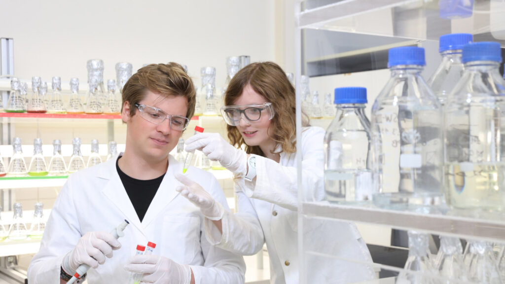 Eine Wissenschaftlerin und ein Wissenschaftler beim gemeinsamen Arbeiten im Labor.